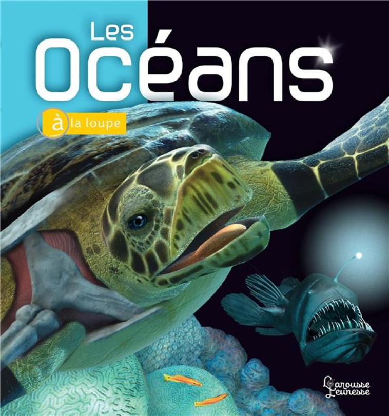 LES OCEANS - MCMILLAN/MUSICK - LAROUSSE