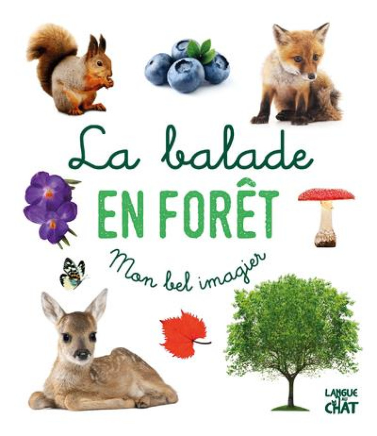 MON BEL IMAGIER PHOTOS - LA BALADE EN FORET - COLLECTIF - LANGUE AU CHAT