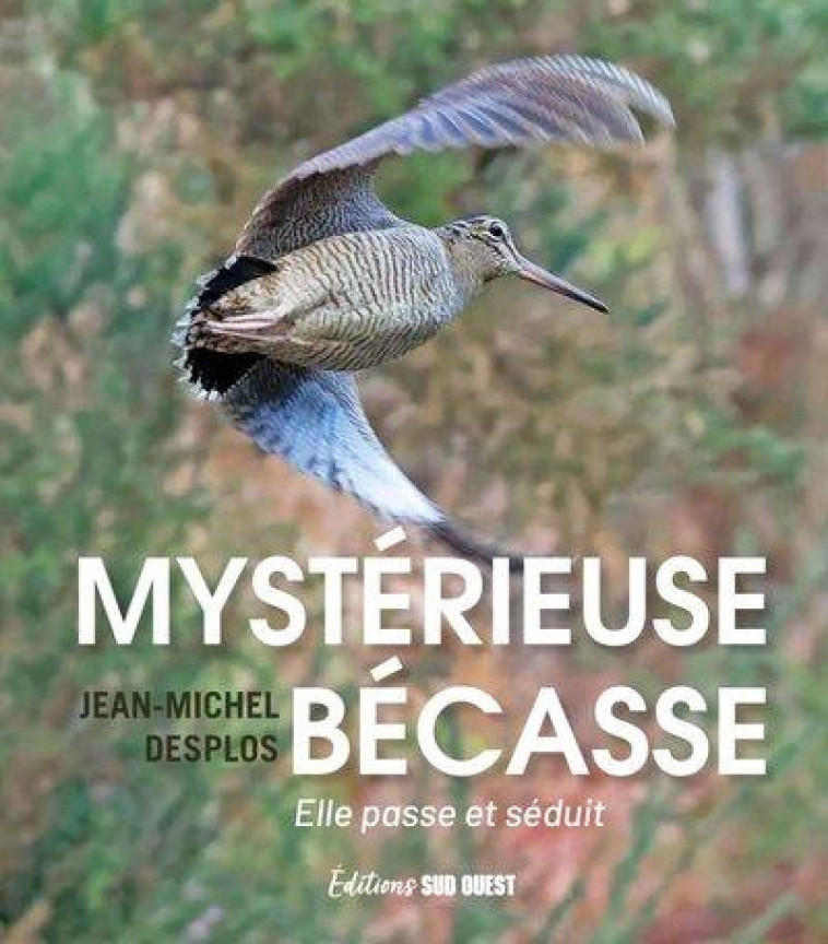 MYSTERIEUSE BECASSE. ELLE PASSE ET SEDUIT - XXX - SUD OUEST