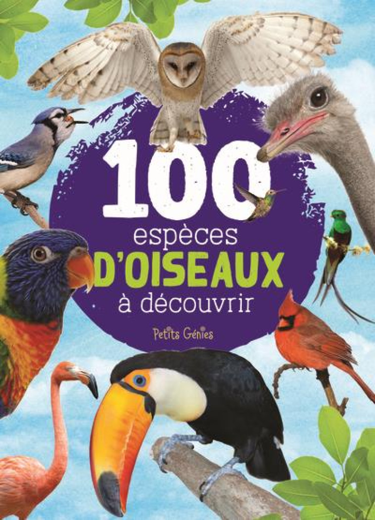 100 ESPECES D'OISEAUX A DECOUVRIR - COTE MARIE-EVE - NC