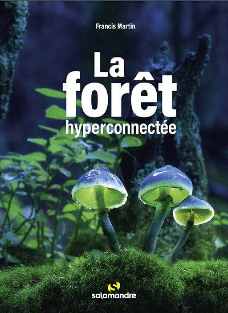 LA FORET HYPERCONNECTEE - MARTIN FRANCIS - LA SALAMANDRE