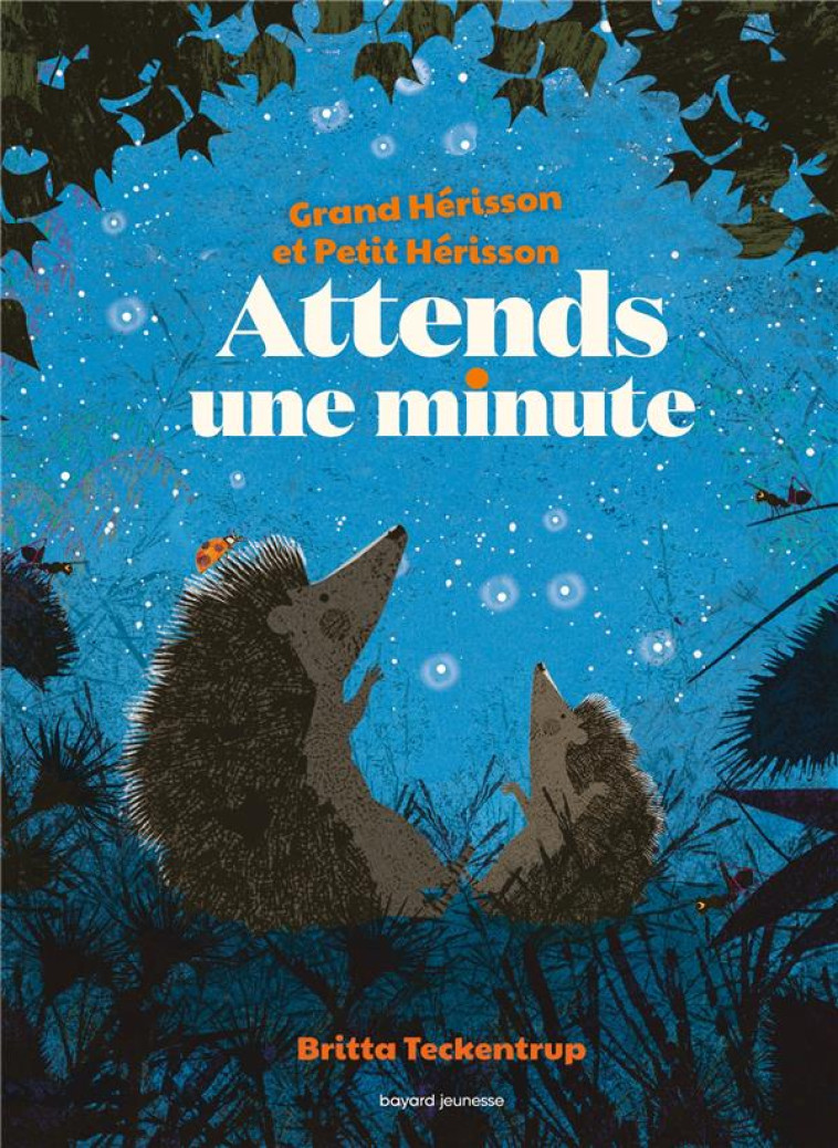 ATTENDS UNE MINUTE - TECKENTRUP BRITTA - BAYARD JEUNESSE