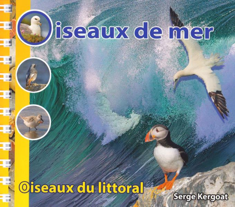 OISEAUX DE MER - OISEAUX DU LITTORAL - KERGOAT SERGE - PUBLITEX