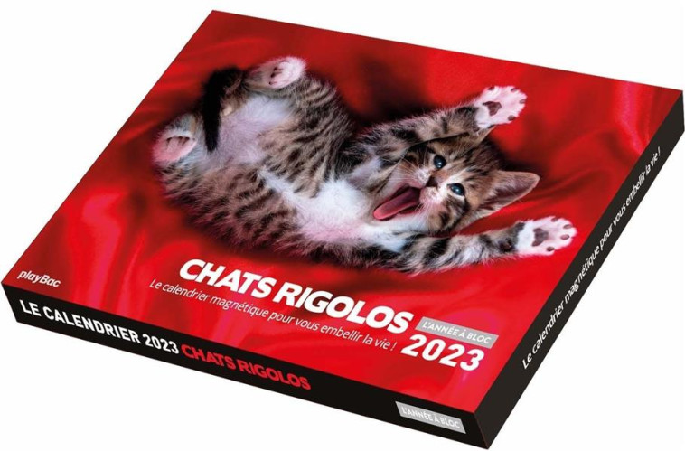 CALENDRIER PHOTOS 2023 CHATS RIGOLOS - L'ANNEE A BLOC (DE JANV. A DEC. 2023) - XXX - NC