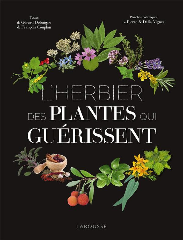 L'HERBIER DES PLANTES QUI GUERISSENT - VIGNES/DEBUIGNE - LAROUSSE