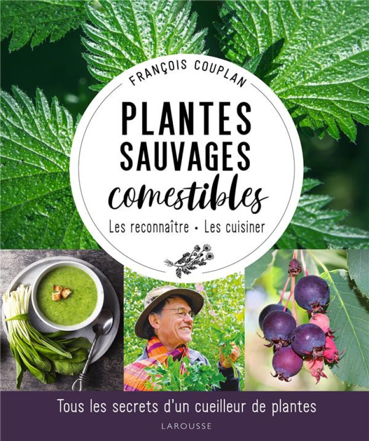 PLANTES SAUVAGES COMESTIBLES - CUEILLIR LA NATURE PARMI LES PRES ET LES BOIS - COUPLAN FRANCOIS - LAROUSSE