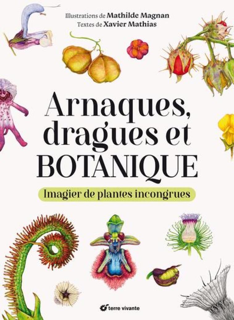 ARNAQUES, DRAGUES ET BOTANIQUE - IMAGIER DE PLANTES INCONGRUES - MATHIAS XAVIER - TERRE VIVANTE