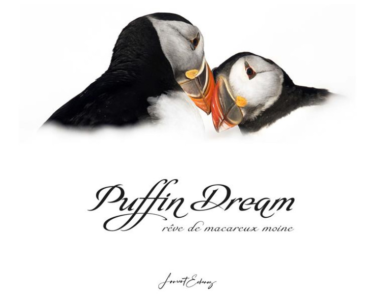 PUFFIN DREAM - ECHENOZ LAURENT - LAURENT ECHENOZ