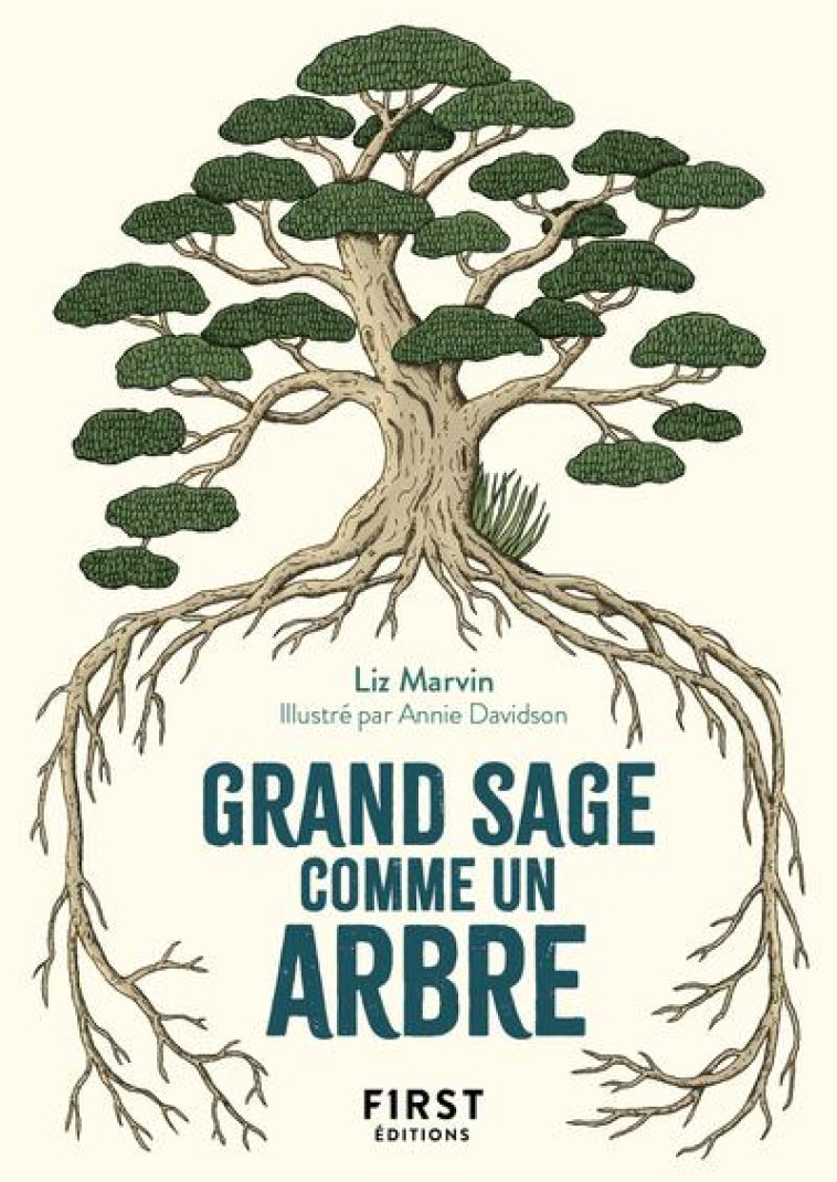 PETIT LIVRE DE - SI J'ETAIS UN ARBRE... - MARVIN/DAVIDSON - FIRST