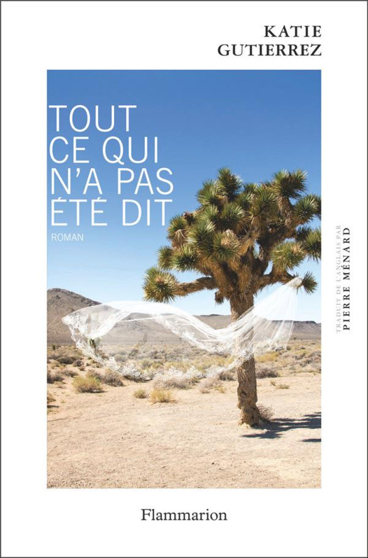 TOUT CE QUI N'A PAS ETE DIT - GUTIERREZ KATIE - FLAMMARION