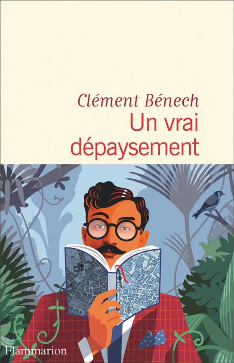 UN VRAI DEPAYSEMENT - BENECH CLEMENT - FLAMMARION