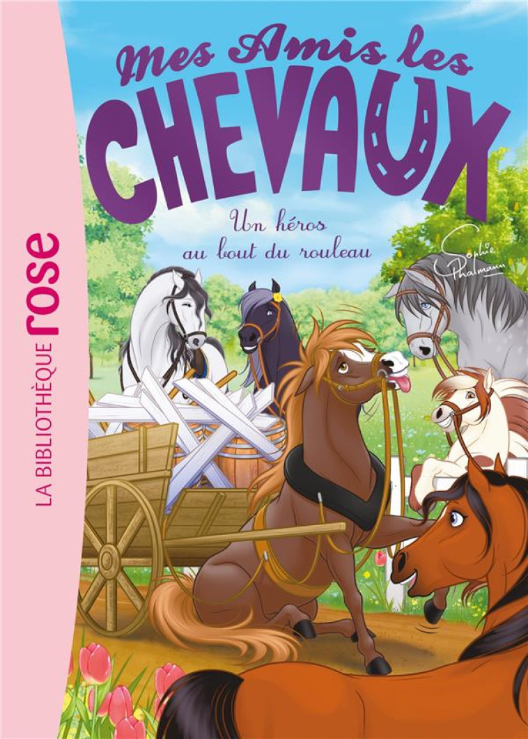 MES AMIS LES CHEVAUX - SOPHIE THALMANN - T41 - MES AMIS LES CHEVAUX 41 - THALMANN SOPHIE - HACHETTE