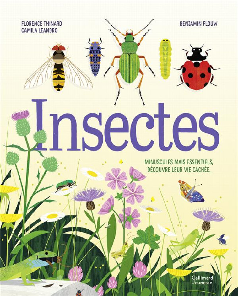 INSECTES - THINARD/LEANDRO - GALLIMARD