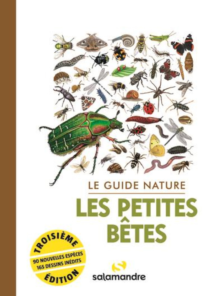 LE GUIDE NATURE LES PETITES BETES - 3E EDITION REVUE ET AUGMENTEE DE 32 PAGES - COLLECTIF COLLECTIF - LA SALAMANDRE