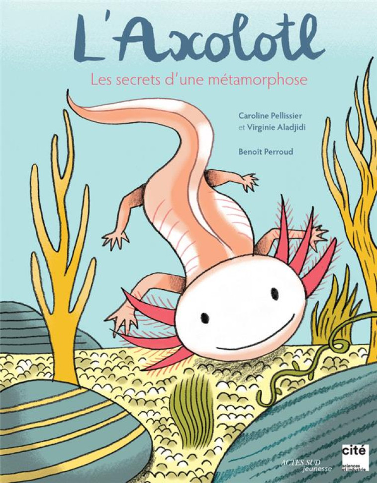 L-AXOLOTL A LA LOUPE - PELLISSIER/ALADJIDI - ACTES SUD