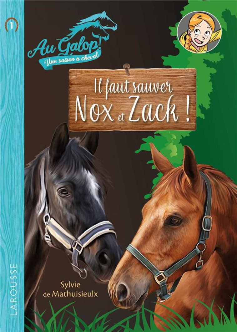 ROMAN AU GALOP, UNE ANNEE A CHEVAL - A LA RECHERCHE DE NOX ET ZACH - MEHIER DE MATHUISIEU - LAROUSSE