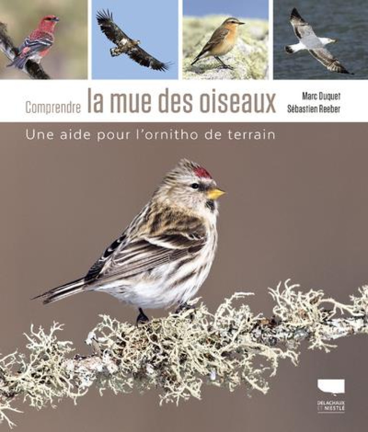 LA MUE DES OISEAUX - UN OUTIL POUR LES IDENTIFIER - DUQUET/REEBER - DELACHAUX