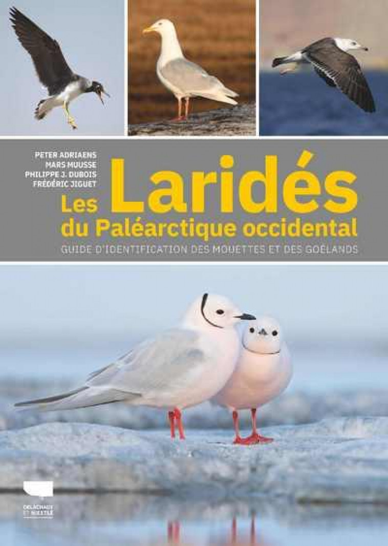 LES LARIDES DU PALEARCTIQUE OCCIDENTAL. GUIDE D-IDENTIFICATION - ADRIAENS/DUBOIS - DELACHAUX