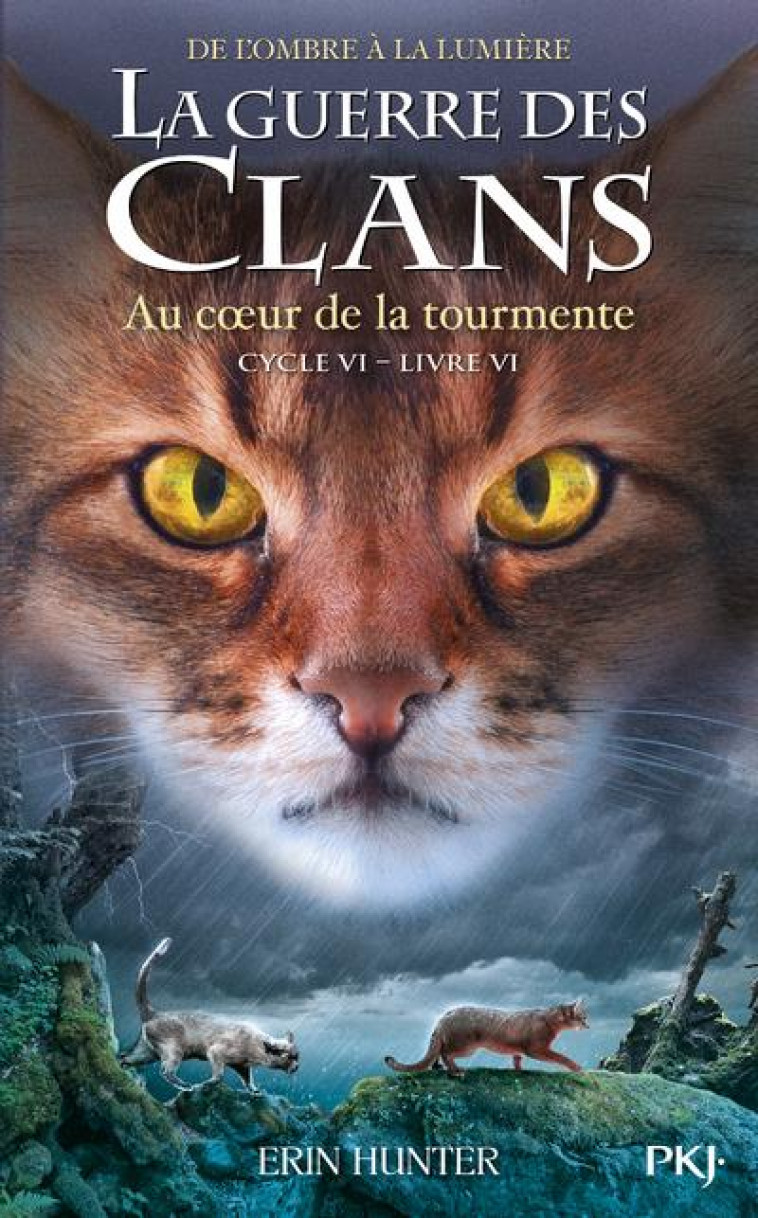 LA GUERRE DES CLANS, CYCLE VI - TOME 06 - VOL36 - HUNTER ERIN - POCKET