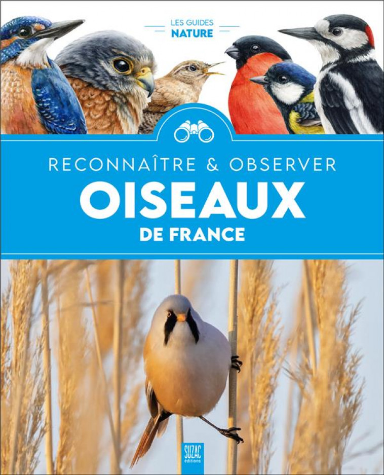 OISEAUX DE FRANCE, RECONNAITRE & OBSERVER - COLLECTIF - DU LUMIGNON