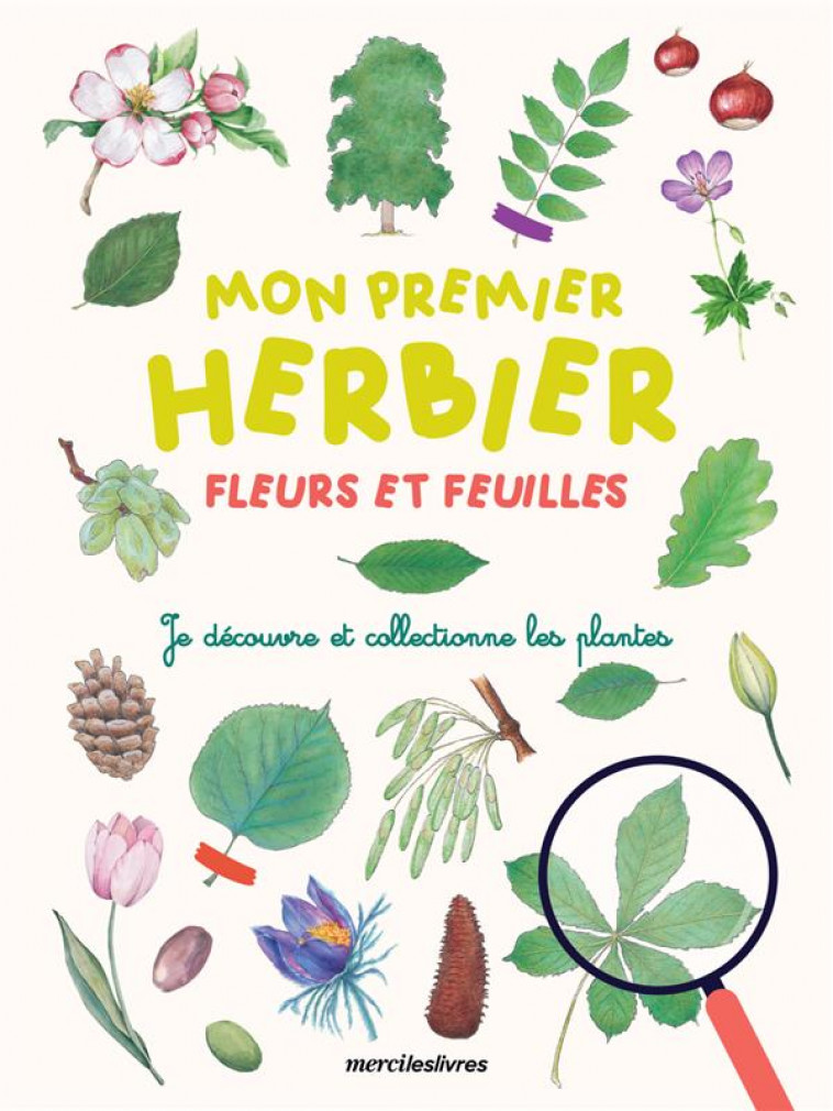 MON PREMIER HERBIER FLEURS & FLEUILLES - DECOUVRIR LES PLANTES EN S-AMUSANT - COLLECTIF - MERCILESLIVRES