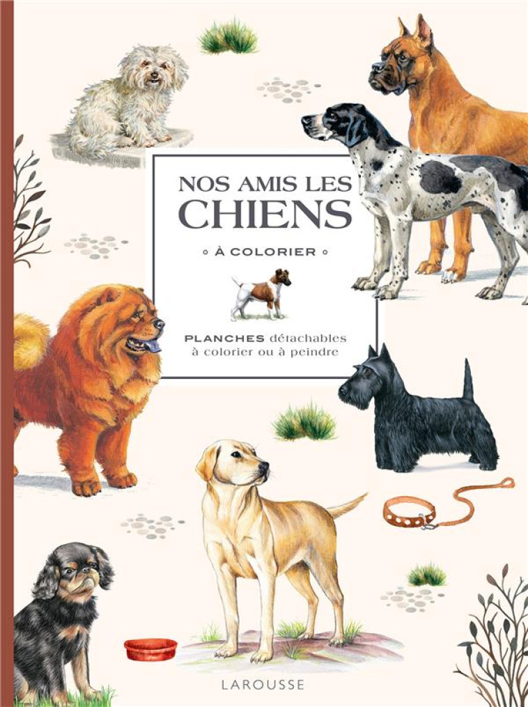 HERBIER CHIENS ET AUTRES CANIDES - XXX - NC