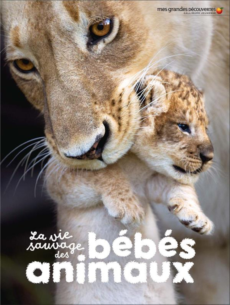 LA VIE SAUVAGE DES BEBES ANIMAUX - COLLECTIF - GALLIMARD