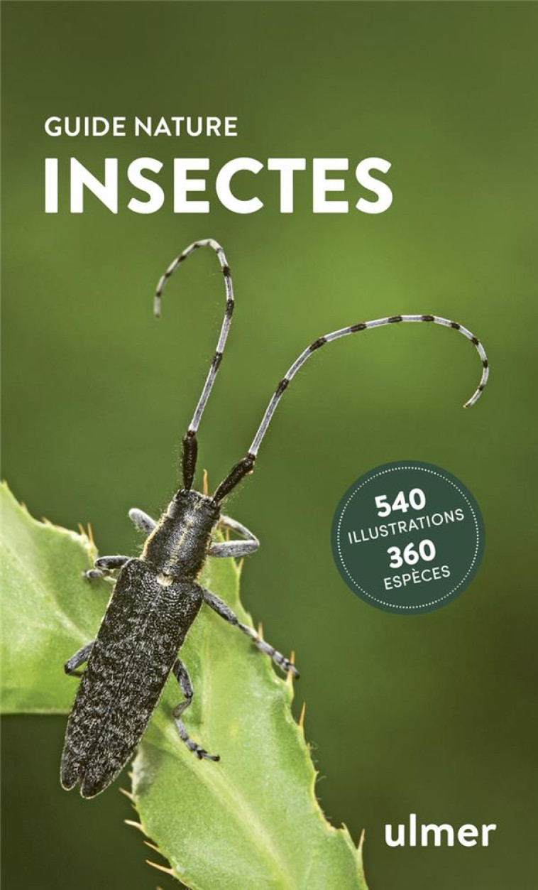 INSECTES - BELLMANN HEIKO - ULMER