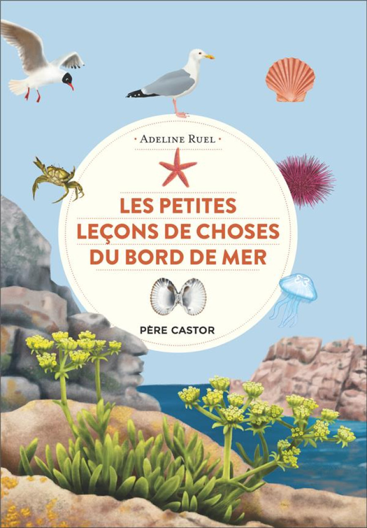 LES PETITES LECONS DE CHOSES DE LA MER - RUEL ADELINE - FLAMMARION