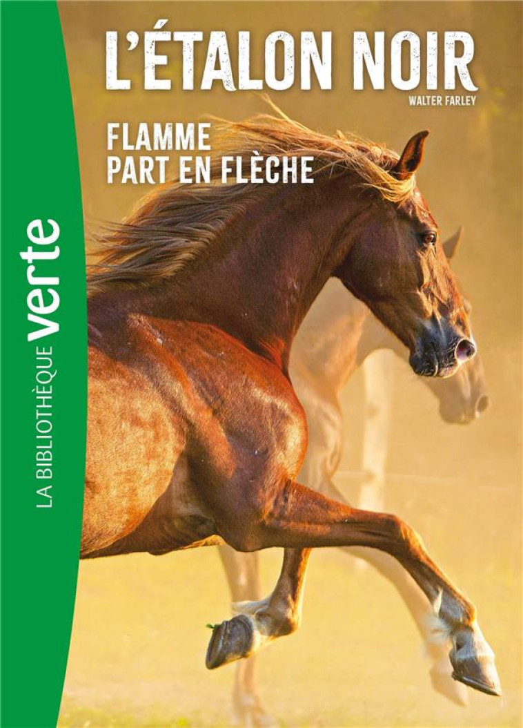 L-ETALON NOIR NED 12- FLAMME PART EN FLECHE - FARLEY WALTER - HACHETTE