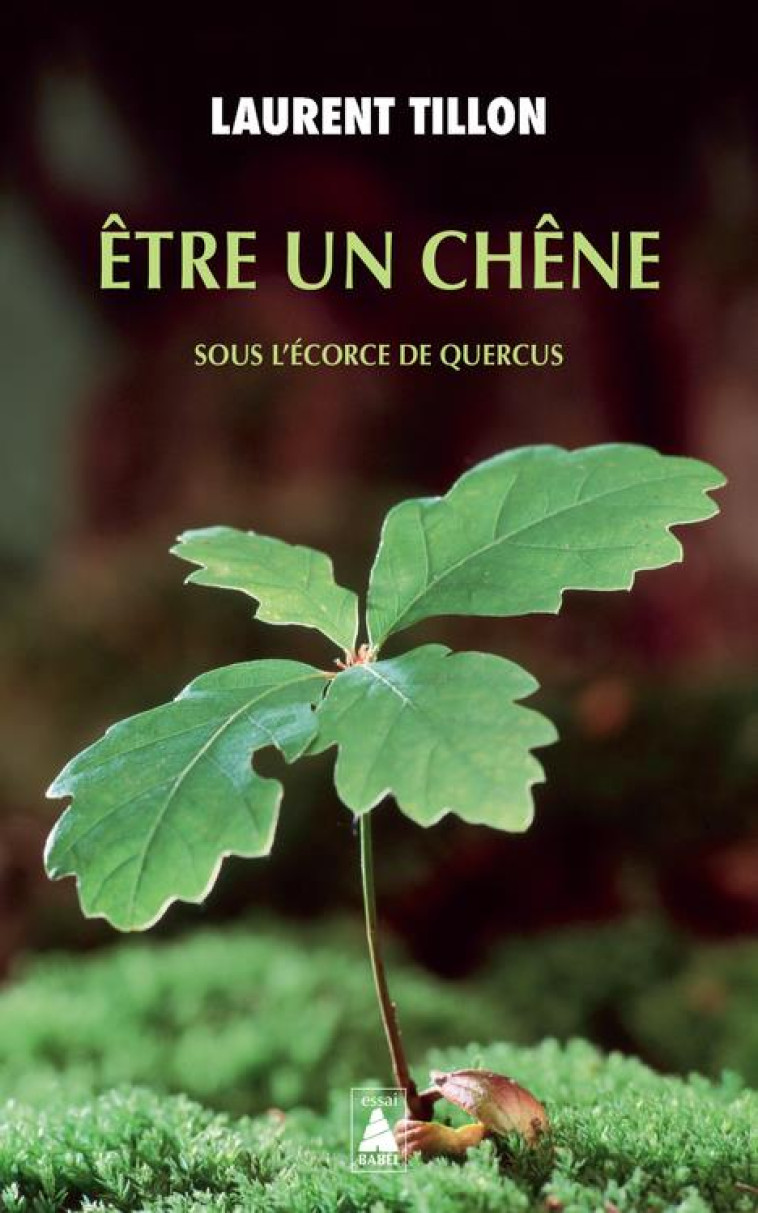 ETRE UN CHENE - SOUS L-ECORCE DE QUERCUS - TILLON LAURENT - ACTES SUD