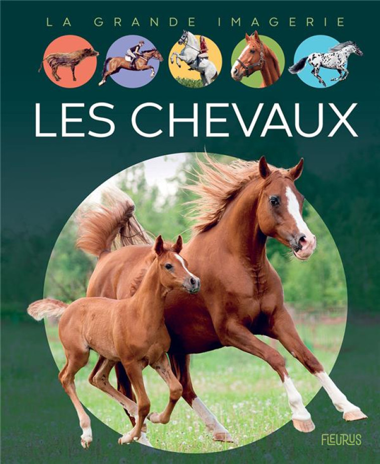 LES CHEVAUX - VANDEWIELE AGNES - FLEURUS