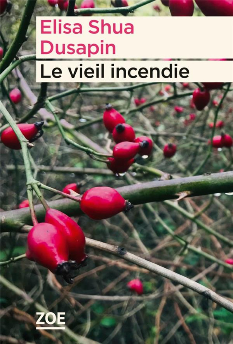 LE VIEIL INCENDIE - DUSAPIN ELISA SHUA - ZOE