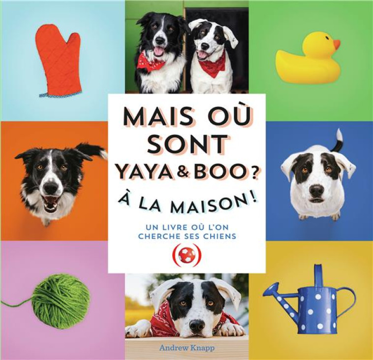 MAIS OU SONT BOO ET YAYA ? - KNAPP ANDREW - GRANDES PERSONN