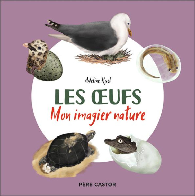 MON IMAGIER NATURE - LES OEUFS - RUEL ADELINE - FLAMMARION