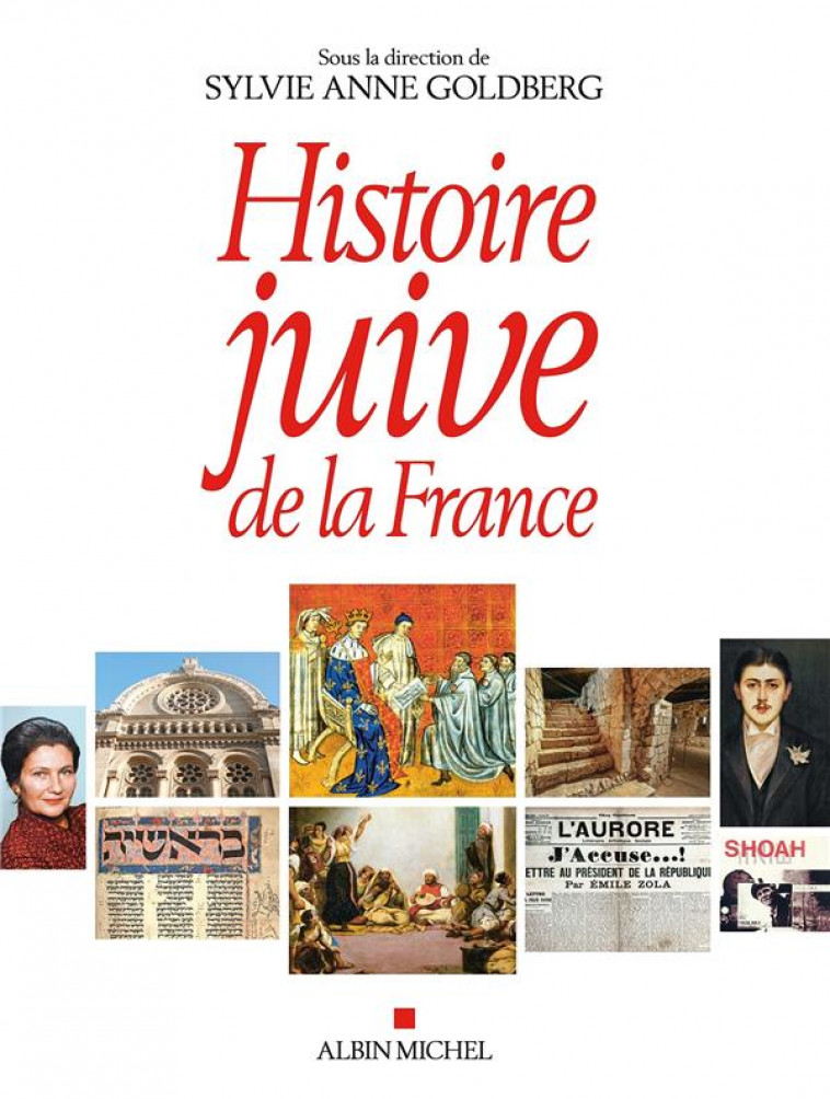 HISTOIRE JUIVE DE LA FRANCE - GOLDBERG SYLVIE-ANNE - ALBIN MICHEL