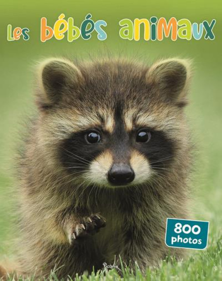 LES BEBES ANIMAUX 800 PHOTOS - COLLECTIF - PICCOLIA