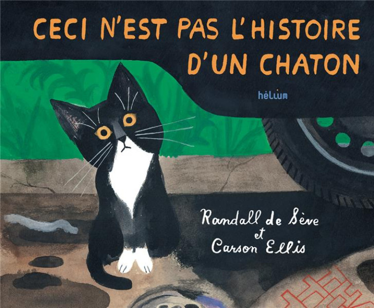 CECI N-EST PAS L-HISTOIRE D-UN CHATON - ELLIS/DE SEVE - ACTES SUD