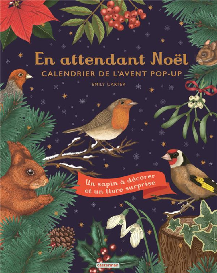 CALENDRIER DE L-AVENT - NOEL (TP) - CARTER EMILY - CASTERMAN