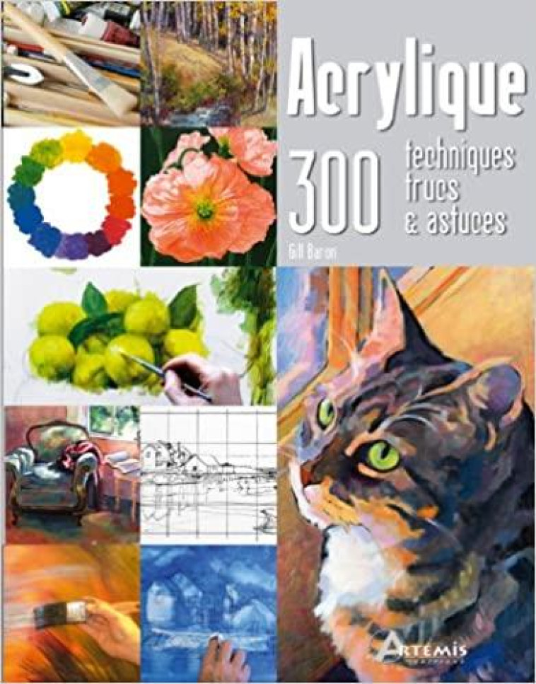 ACRYLIQUE  -  300 TECHNIQUES, TRUCS et ASTUCES - Durand Mathieu - Editions du Cardo