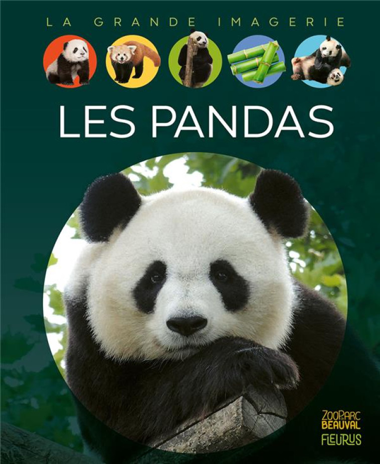 LES PANDAS - REDOULES STEPHANIE - FLEURUS