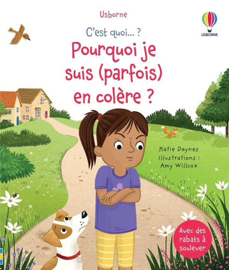 POURQUOI JE SUIS (PARFOIS) EN COLERE ? - C-EST QUOI ? - DAYNES/WILLCOX/RYDER - NC