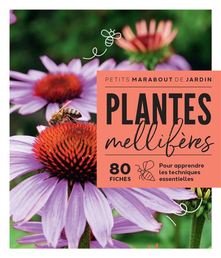 PLANTES MELLIFERES - COLLECTIF - MARABOUT