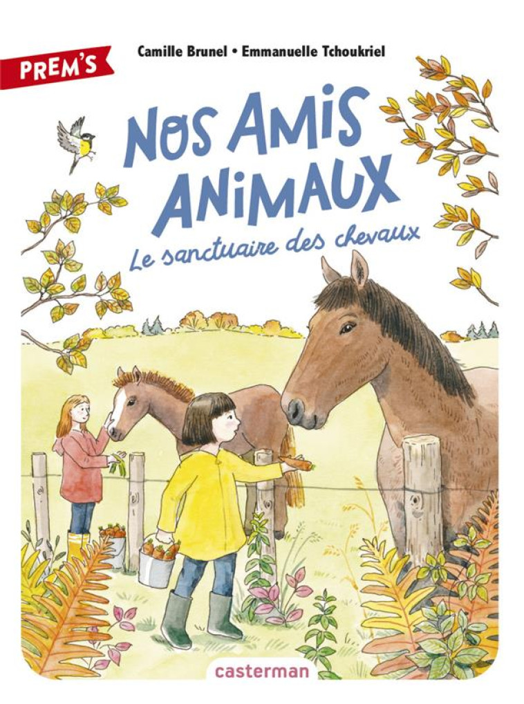 NOS AMIS ANIMAUX (TP) T3 - VOL03 - BRUNEL/TCHOUKRIEL - CASTERMAN