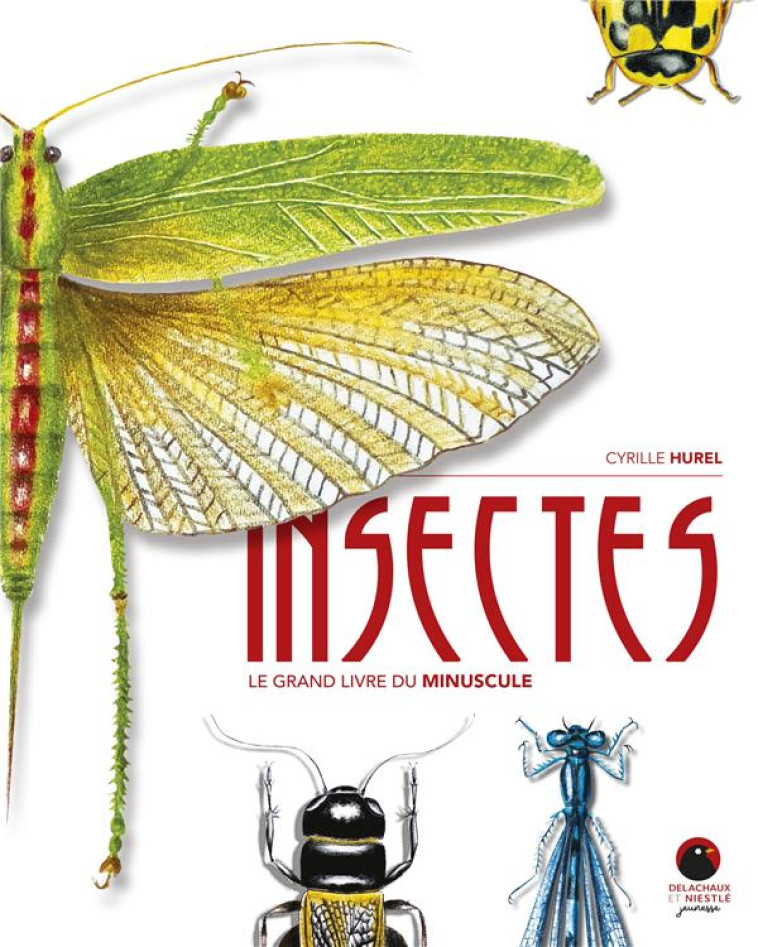 INSECTES. LE GRAND LIVRE DU MINUSCULE - HUREL CYRILLE - DELACHAUX