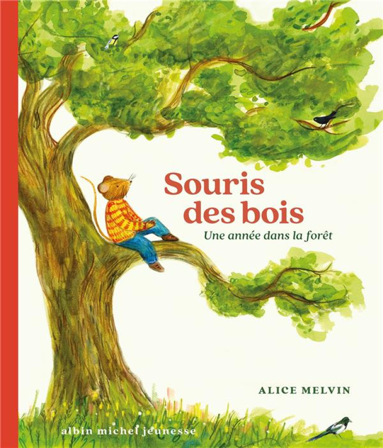 SOURIS DES BOIS - UNE ANNEE DANS LA FORET - MELVIN/SNOW - ALBIN MICHEL