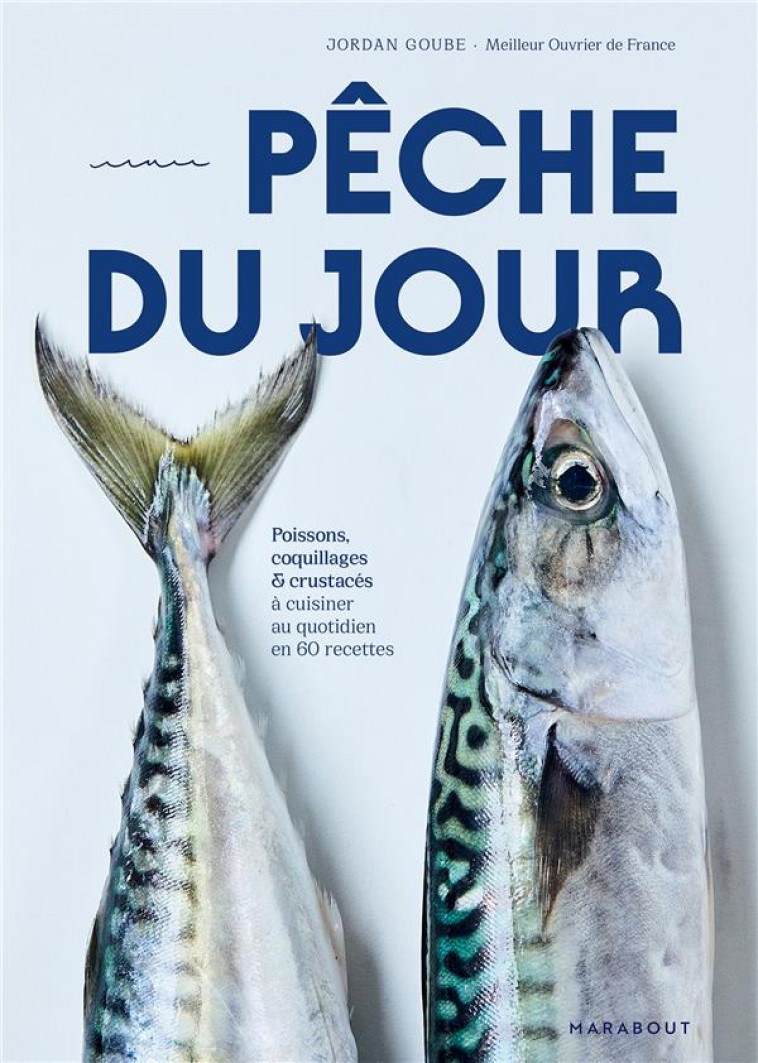 POISSON A LA MAISON - GOUBE JORDAN - MARABOUT