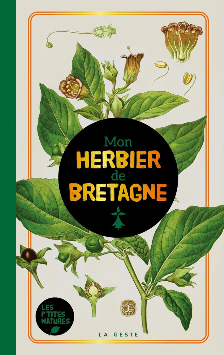 HERBIER DE BRETAGNE (GESTE) (POCHE - RELIE) COLL. BAROQUE - Collectif , A BUEN PASA , COLLECTIF D'AUTEURS - GESTE