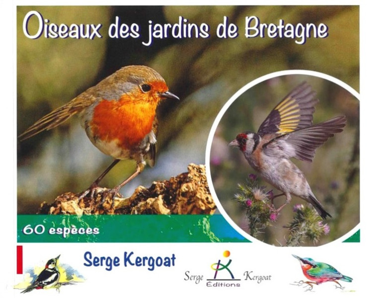 OISEAUX DES JARDINS DE BRETAGNE - 60 ESPECES - KERGOAT SERGE - PUBLITEX