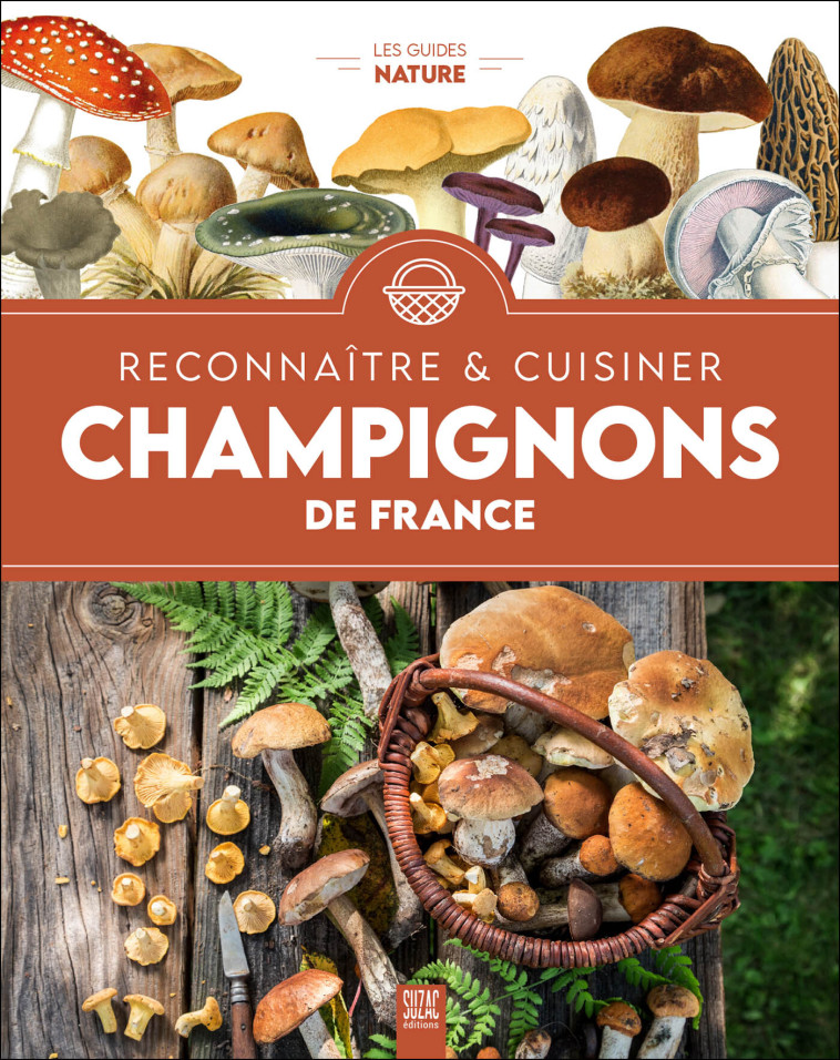 Champignons de France, reconnaître & cuisiner - Collectif  - SUZAC